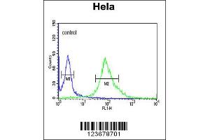 Flow Cytometry (FACS) image for anti-DEAD (Asp-Glu-Ala-Asp) Box Polypeptide 49 (DDX49) antibody (ABIN2158515)