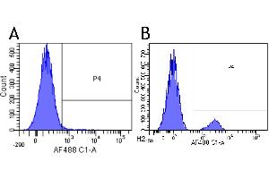Flow Cytometry (FACS) image for anti-CD22 (Epratuzumab Biosimilar) antibody (ABIN5668217)
