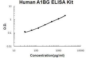 alpha-1-B Glycoprotein (A1BG) ELISA Kit