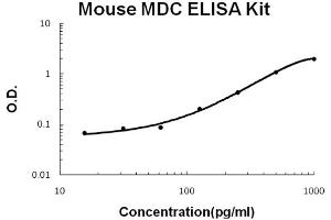 Image no. 1 for Chemokine (C-C Motif) Ligand 22 (CCL22) ELISA Kit (ABIN6719956)