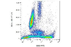 Image no. 1 for anti-CD52 (CD52) antibody (FITC) (ABIN192294)