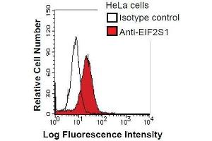 Image no. 3 for anti-Eukaryotic Translation Initiation Factor 2 Subunit 1 (EIF2S1) antibody (ABIN933102)