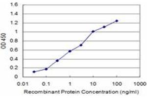 anti-Protein Kinase, CAMP-Dependent, Regulatory, Type II, alpha (PRKAR2A) (AA 1-105) antibody