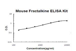 Image no. 1 for Chemokine (C-X3-C Motif) Ligand 1 (CX3CL1) ELISA Kit (ABIN6719825)