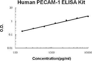 Image no. 1 for Platelet/endothelial Cell Adhesion Molecule (PECAM1) ELISA Kit (ABIN921112)