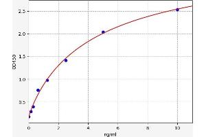 Adenosine A3 Receptor ELISA 试剂盒