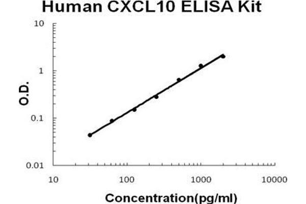 CXCL10 ELISA 试剂盒