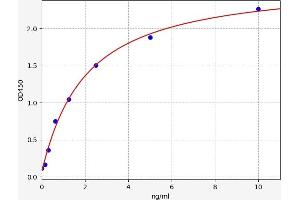 CCBL1 Kit ELISA
