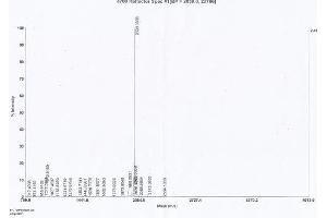 Image no. 2 for Endostatin (ES) protein (KLH) (ABIN1880228)