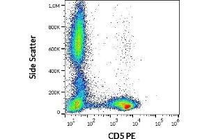 Image no. 1 for anti-CD5 (CD5) antibody (PE) (ABIN2749130)