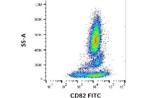 Image no. 1 for anti-CD82 (CD82) antibody (FITC) (ABIN2749138)