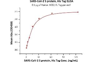 Image no. 3 for SARS-CoV-2 Spike (Super Stable Trimer) protein (His tag) (ABIN6953299)