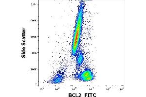 Flow cytometry intracellular staining pattern of human peripheral whole blood stained using anti-human BCL2 (Bcl-2/100) FITC antibody (4 μL reagent / 100 μL of peripheral whole blood).