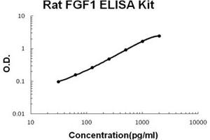 Rat FGF1 PicoKine ELISA Kit standard curve